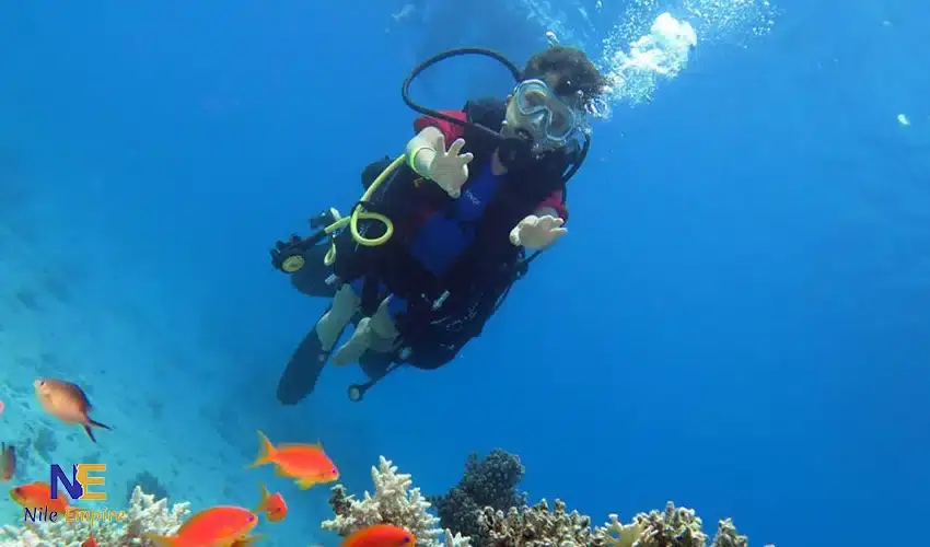 Diving Tour at Ras Mohammed National Park