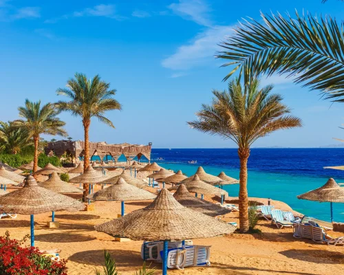 ac1a454fb6d8b498184806449ba5e2e4 (1)